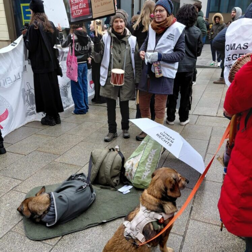 Trommeln und Knurren gegen die AfD